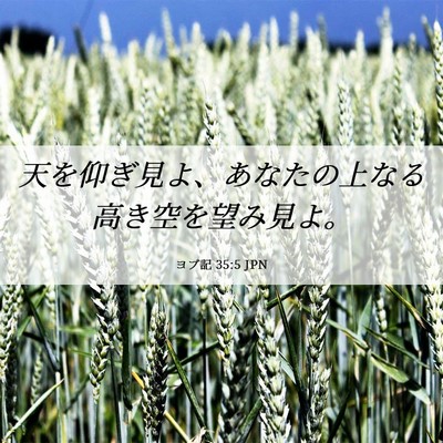 Picture 06 - ヨブ記 35:5 JPN - 天を仰ぎ見よ、あなたの上なる高き - Bible Verse Picture