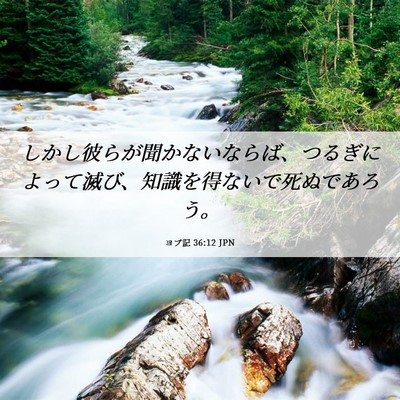 Picture 06 - ヨブ記 36:12 JPN - しかし彼らが聞かないならば、つる - Bible Verse Picture