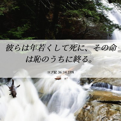 Picture 06 - ヨブ記 36:14 JPN - 彼らは年若くして死に、その命は恥 - Bible Verse Picture
