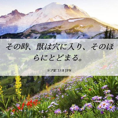 Picture 06 - ヨブ記 37:8 JPN - その時、獣は穴に入り、そのほらに - Bible Verse Picture