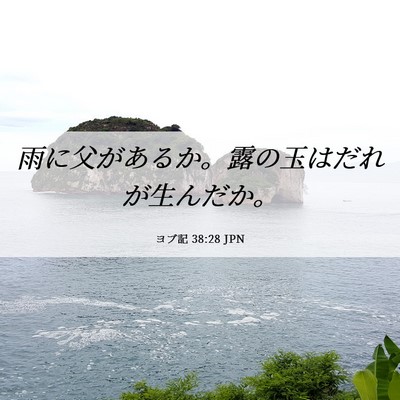 Picture 06 - ヨブ記 38:28 JPN - 雨に父があるか。露の玉はだれが生 - Bible Verse Picture