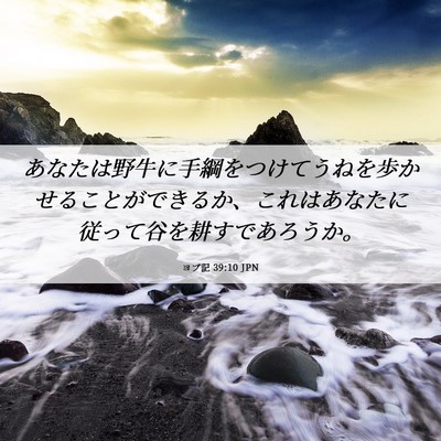 Picture 06 - ヨブ記 39:10 JPN - あなたは野牛に手綱をつけてうねを - Bible Verse Picture