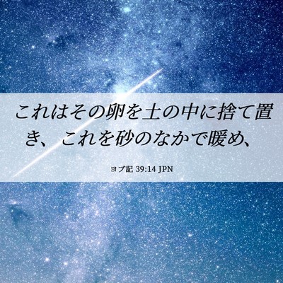 Picture 06 - ヨブ記 39:14 JPN - これはその卵を土の中に捨て置き、 - Bible Verse Picture