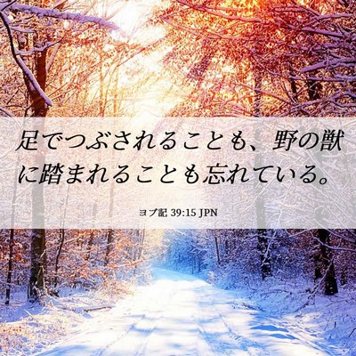 Picture 06 - ヨブ記 39:15 JPN - 足でつぶされることも、野の獣に踏 - Bible Verse Picture