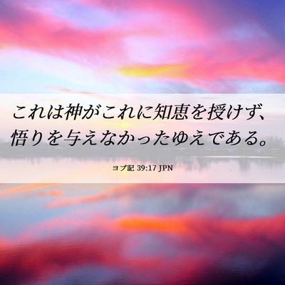 Picture 06 - ヨブ記 39:17 JPN - これは神がこれに知恵を授けず、悟 - Bible Verse Picture