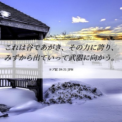 Picture 06 - ヨブ記 39:21 JPN - これは谷であがき、その力に誇り、 - Bible Verse Picture