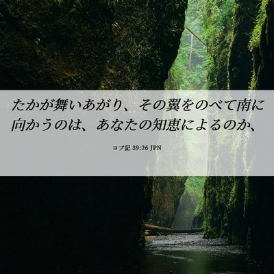 Picture 06 - ヨブ記 39:26 JPN - たかが舞いあがり、その翼をのべて - Bible Verse Picture