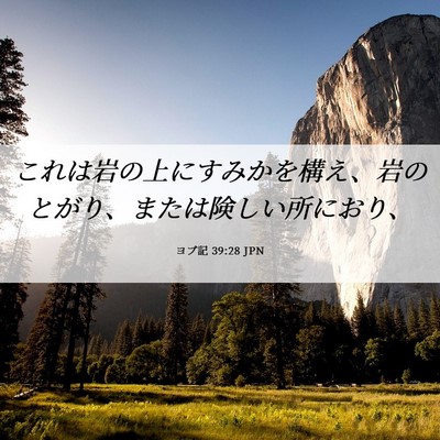 Picture 06 - ヨブ記 39:28 JPN - これは岩の上にすみかを構え、岩の - Bible Verse Picture