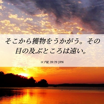 Picture 06 - ヨブ記 39:29 JPN - そこから獲物をうかがう。その目の - Bible Verse Picture
