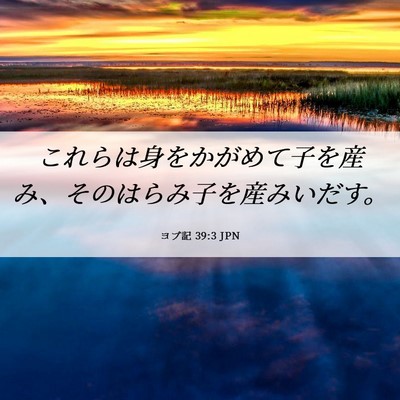 Picture 06 - ヨブ記 39:3 JPN - これらは身をかがめて子を産み、そ - Bible Verse Picture