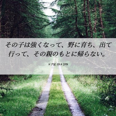 Picture 06 - ヨブ記 39:4 JPN - その子は強くなって、野に育ち、出 - Bible Verse Picture