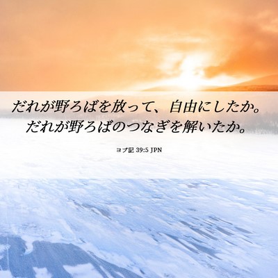 Picture 06 - ヨブ記 39:5 JPN - だれが野ろばを放って、自由にした - Bible Verse Picture