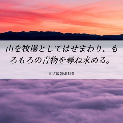 Picture 06 - ヨブ記 39:8 JPN - 山を牧場としてはせまわり、もろも - Bible Verse Picture