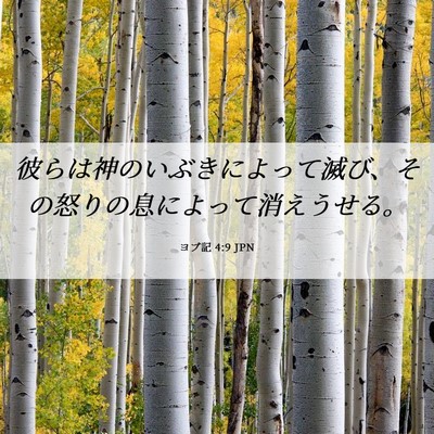 Picture 06 - ヨブ記 4:9 JPN - 彼らは神のいぶきによって滅び、そ - Bible Verse Picture
