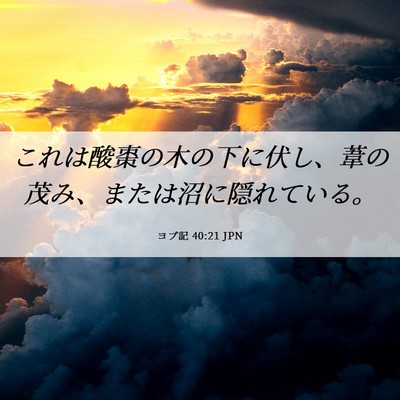 Picture 06 - ヨブ記 40:21 JPN - これは酸棗の木の下に伏し、葦の茂 - Bible Verse Picture