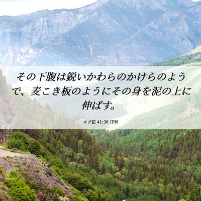 Picture 06 - ヨブ記 41:30 JPN - その下腹は鋭いかわらのかけらのよ - Bible Verse Picture