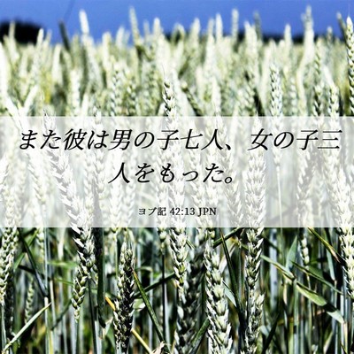Picture 06 - ヨブ記 42:13 JPN - また彼は男の子七人、女の子三人を - Bible Verse Picture