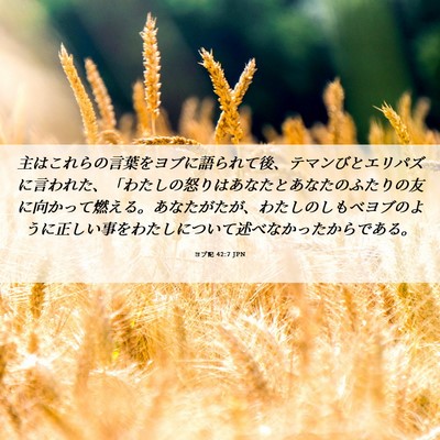 Picture 06 - ヨブ記 42:7 JPN - 主はこれらの言葉をヨブに語られて - Bible Verse Picture