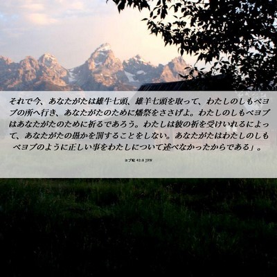 Picture 06 - ヨブ記 42:8 JPN - それで今、あなたがたは雄牛七頭、 - Bible Verse Picture