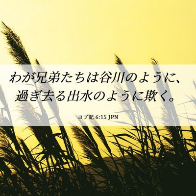 Picture 06 - ヨブ記 6:15 JPN - わが兄弟たちは谷川のように、過ぎ - Bible Verse Picture