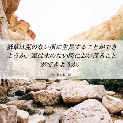 Picture 06 - ヨブ記 8:11 JPN - 紙草は泥のない所に生長することが - Bible Verse Picture