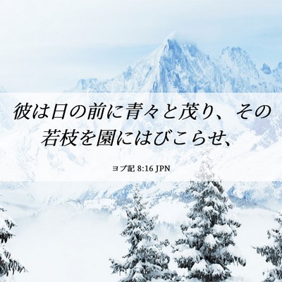 Picture 06 - ヨブ記 8:16 JPN - 彼は日の前に青々と茂り、その若枝 - Bible Verse Picture