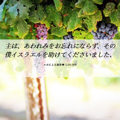 Picture 06 - ルカによる福音書 1:54 JPN - 主は、あわれみをお忘れにならず、 - Bible Verse Picture