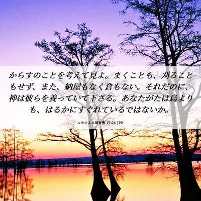 Picture 06 - ルカによる福音書 12:24 JPN - からすのことを考えて見よ。まくこ - Bible Verse Picture