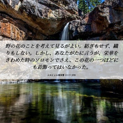 Picture 06 - ルカによる福音書 12:27 JPN - 野の花のことを考えて見るがよい。 - Bible Verse Picture