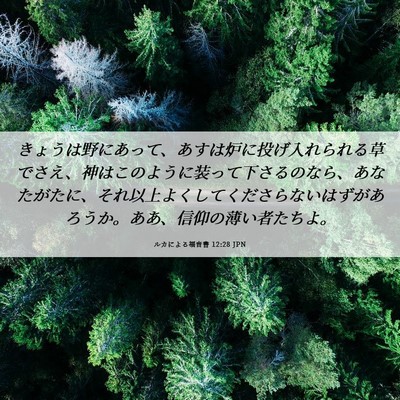 Picture 06 - ルカによる福音書 12:28 JPN - きょうは野にあって、あすは炉に投 - Bible Verse Picture
