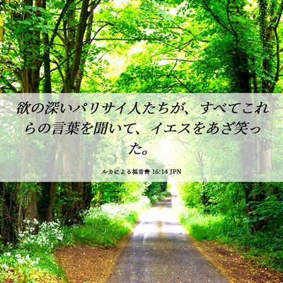 Picture 06 - ルカによる福音書 16:14 JPN - 欲の深いパリサイ人たちが、すべて - Bible Verse Picture