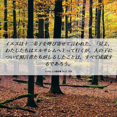 Picture 06 - ルカによる福音書 18:31 JPN - イエスは十二弟子を呼び寄せて言わ - Bible Verse Picture