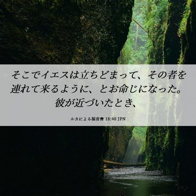 Picture 06 - ルカによる福音書 18:40 JPN - そこでイエスは立ちどまって、その - Bible Verse Picture
