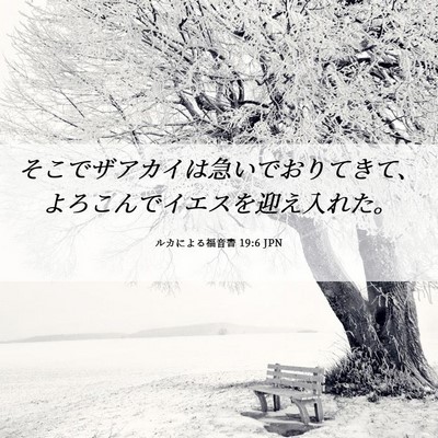 Picture 06 - ルカによる福音書 19:6 JPN - そこでザアカイは急いでおりてきて - Bible Verse Picture
