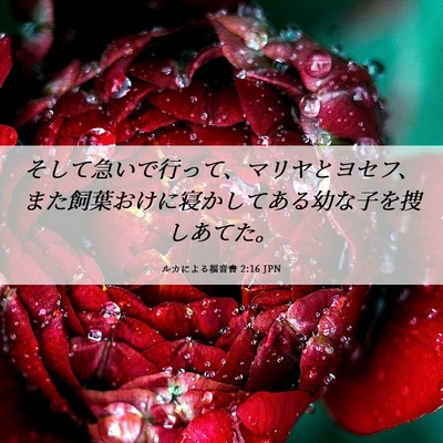 Picture 06 - ルカによる福音書 2:16 JPN - そして急いで行って、マリヤとヨセ - Bible Verse Picture
