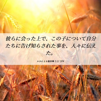 Picture 06 - ルカによる福音書 2:17 JPN - 彼らに会った上で、この子について - Bible Verse Picture