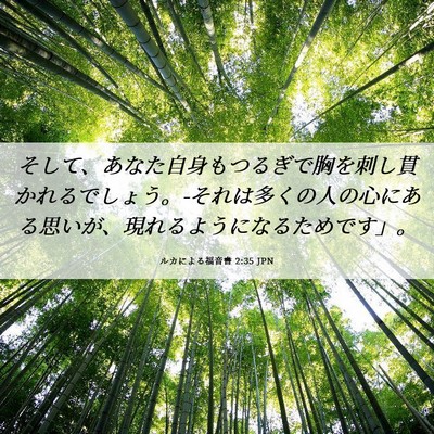 Picture 06 - ルカによる福音書 2:35 JPN - そして、あなた自身もつるぎで胸を - Bible Verse Picture