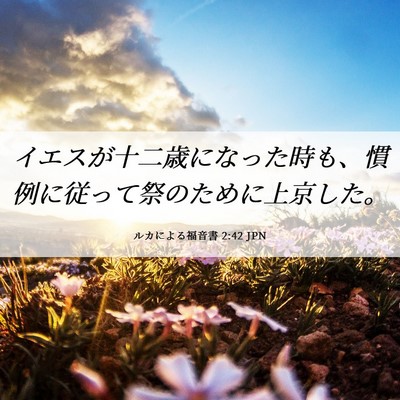 Picture 06 - ルカによる福音書 2:42 JPN - イエスが十二歳になった時も、慣例 - Bible Verse Picture