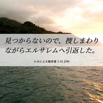 Picture 06 - ルカによる福音書 2:45 JPN - 見つからないので、捜しまわりなが - Bible Verse Picture