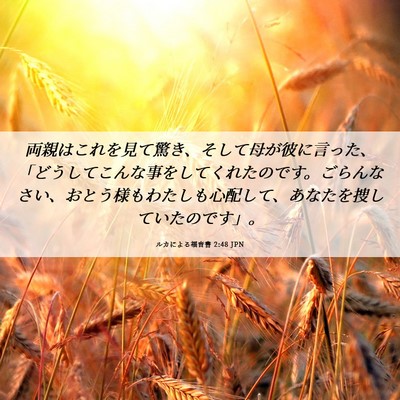 Picture 06 - ルカによる福音書 2:48 JPN - 両親はこれを見て驚き、そして母が - Bible Verse Picture