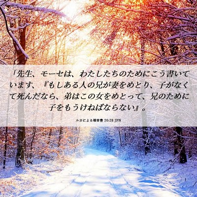 Picture 06 - ルカによる福音書 20:28 JPN - 「先生、モーセは、わたしたちのた - Bible Verse Picture