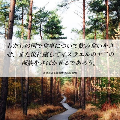 Picture 06 - ルカによる福音書 22:30 JPN - わたしの国で食卓について飲み食い - Bible Verse Picture