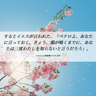 Picture 06 - ルカによる福音書 22:34 JPN - するとイエスが言われた、「ペテロ - Bible Verse Picture