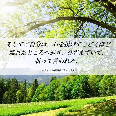 Picture 06 - ルカによる福音書 22:41 JPN - そしてご自分は、石を投げてとどく - Bible Verse Picture