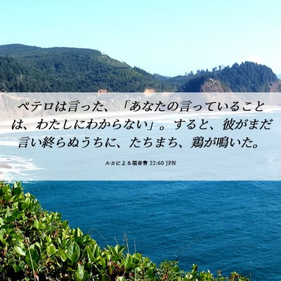 Picture 06 - ルカによる福音書 22:60 JPN - ペテロは言った、「あなたの言って - Bible Verse Picture