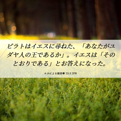 Picture 06 - ルカによる福音書 23:3 JPN - ピラトはイエスに尋ねた、「あなた - Bible Verse Picture