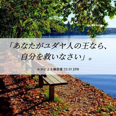 Picture 06 - ルカによる福音書 23:37 JPN - 「あなたがユダヤ人の王なら、自分 - Bible Verse Picture