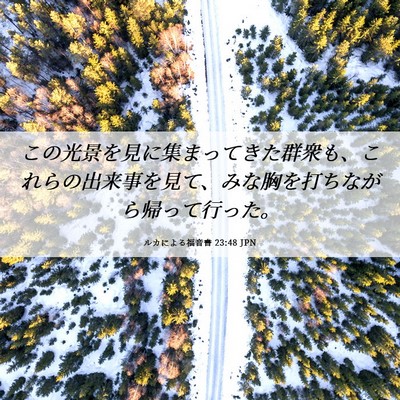 Picture 06 - ルカによる福音書 23:48 JPN - この光景を見に集まってきた群衆も - Bible Verse Picture