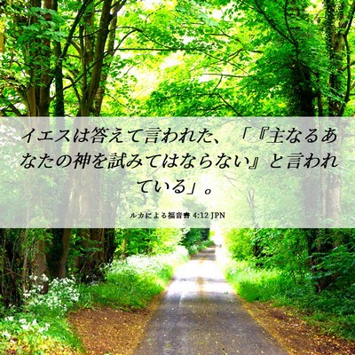 Picture 06 - ルカによる福音書 4:12 JPN - イエスは答えて言われた、「『主な - Bible Verse Picture