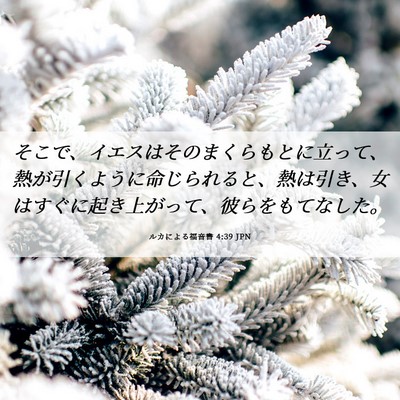 Picture 06 - ルカによる福音書 4:39 JPN - そこで、イエスはそのまくらもとに - Bible Verse Picture